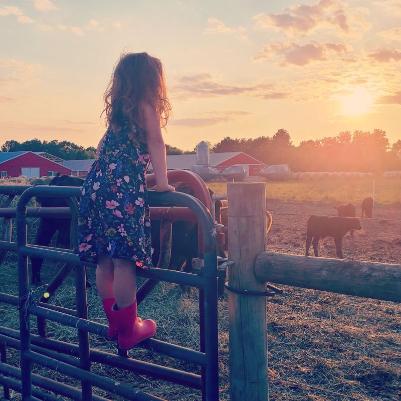 Alyssa Cowan was the winner of Delaware Farm Bureau Promotion and Education Committee’s Annual Photo Contest.